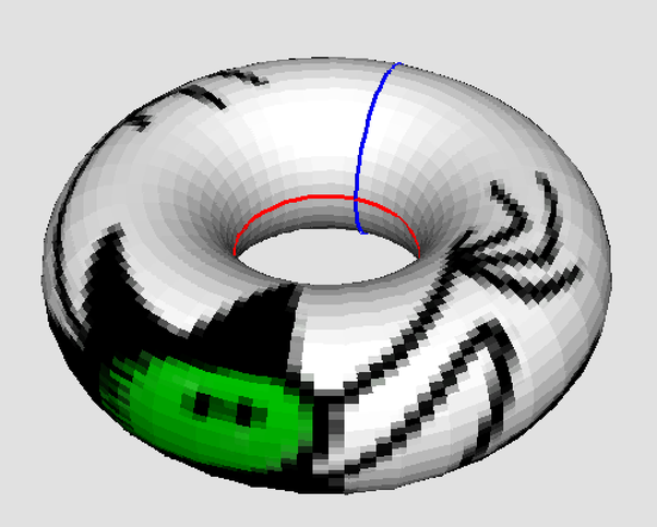 Cell wrapped to form a torus